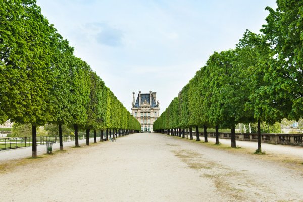 Can I Get Married in France on a Tourist Visa?