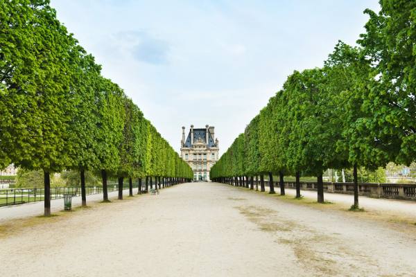 Can I Get Married in France on a Tourist Visa?